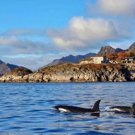 Amazing Seaview Lodge, Kabelvåg المظهر الخارجي الصورة